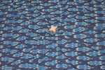 Single Ikat image 0